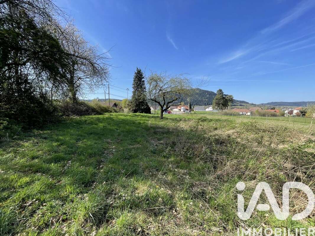 Photo 6 - Terrain à RAON-L'ETAPE