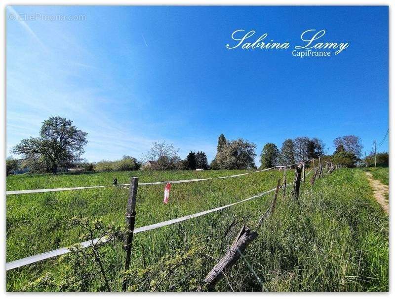 Terrain à SUIZY-LE-FRANC