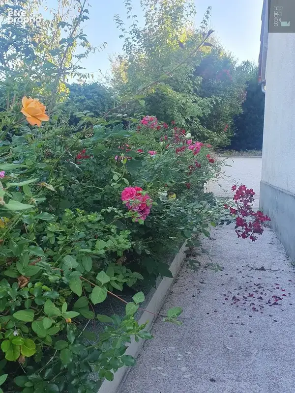 Maison de 80m² avec jardin - photo 8