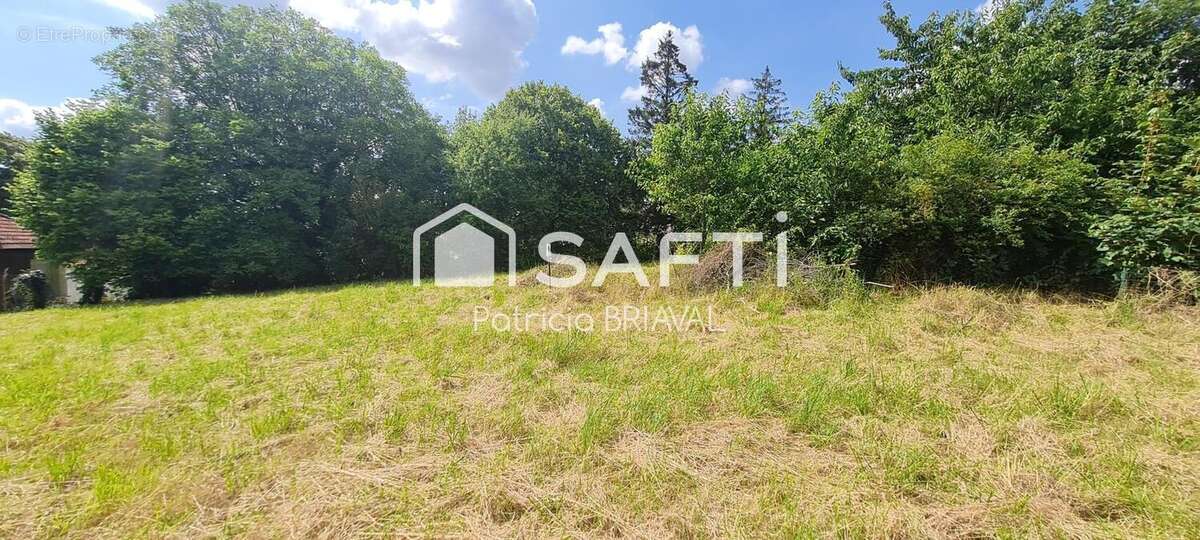 Terrain 1645 m² à Mont-Saint-Eloi  - photo 3