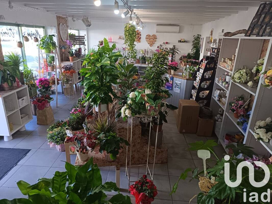 Photo 1 - Appartement à SAINT-SEURIN-SUR-L&#039;ISLE