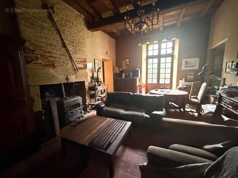 MARCIAC(32): ancienne SEIGNEURIE avec BEAU CHATEAU XIV sur 3,5ha, cachée, au bout du chemin, sans voisin, en campagne, 500m2 hab - photo 28