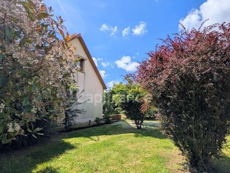 Maison familiale de 115 m² – 4 chambres – Sous-sol complet – Terrain arboré de 3 357 m² – Secteur AUMALE (76) - photo 8