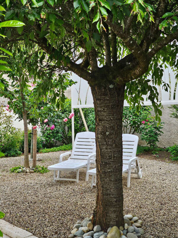 Photo 6 - Maison à LADOIX-SERRIGNY