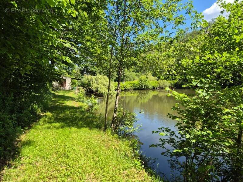 Terrain à PRESSIGNAC