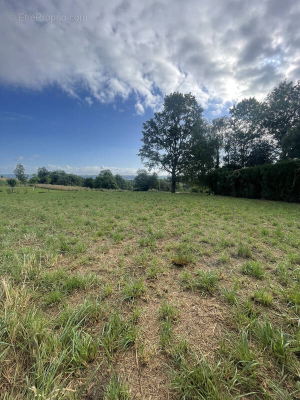 Terrain à SAINT-VINCENT