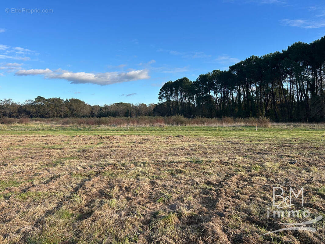 Terrain à TOSSE