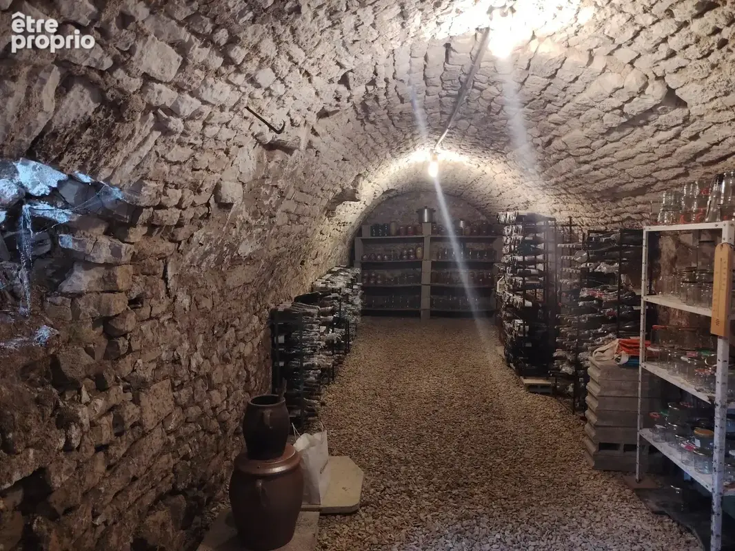 entre TROYES et AUXERRE - Maison d'exception et de caractère - photo 17