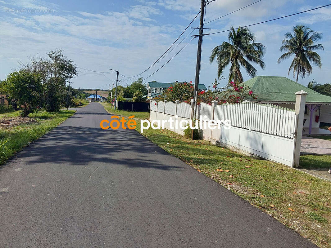 Terrain à CAPESTERRE-DE-MARIE-GALANTE