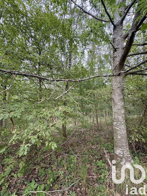 Photo 3 - Terrain à OUDON