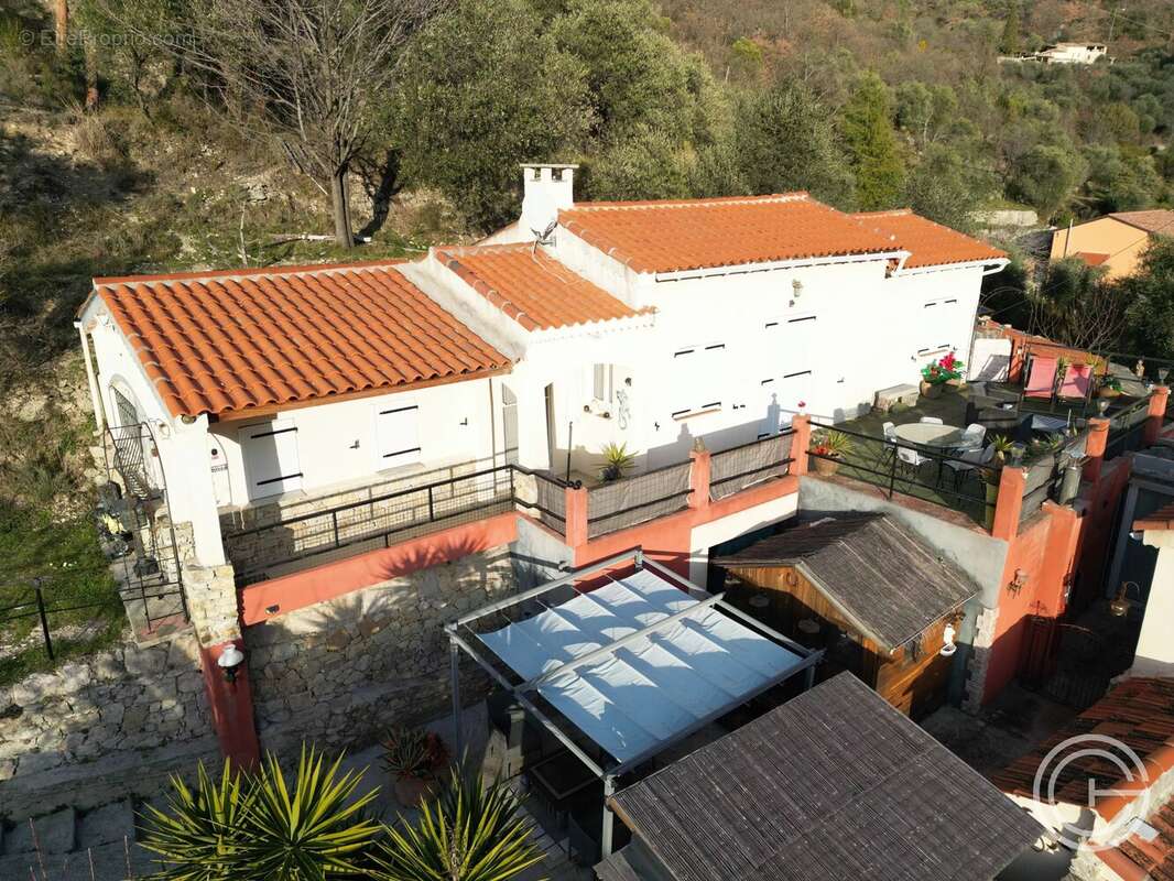 Propriété avec deux maisons et studio – 7 500 m² de terrain - route de l'Escarène - PEILLE - photo 3