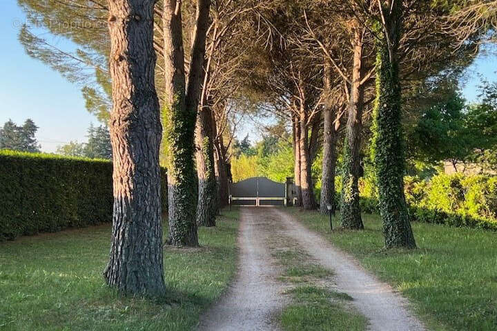 Maison à CHATEAUNEUF-DU-PAPE