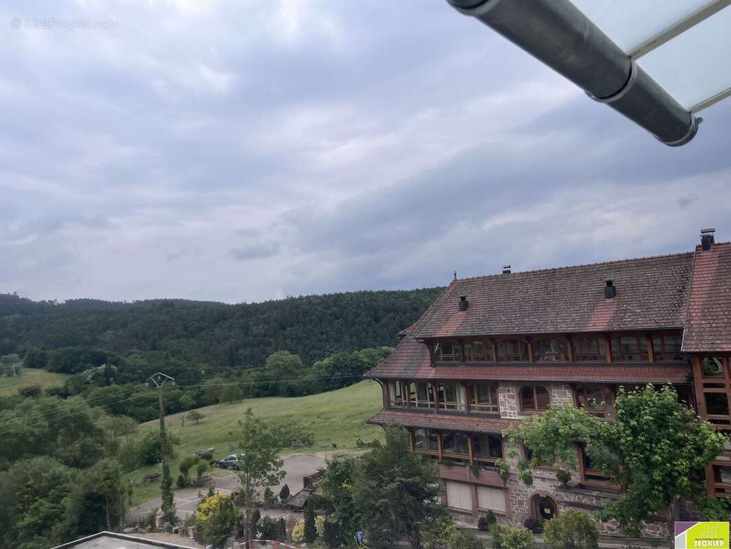 Appartement à THANNENKIRCH