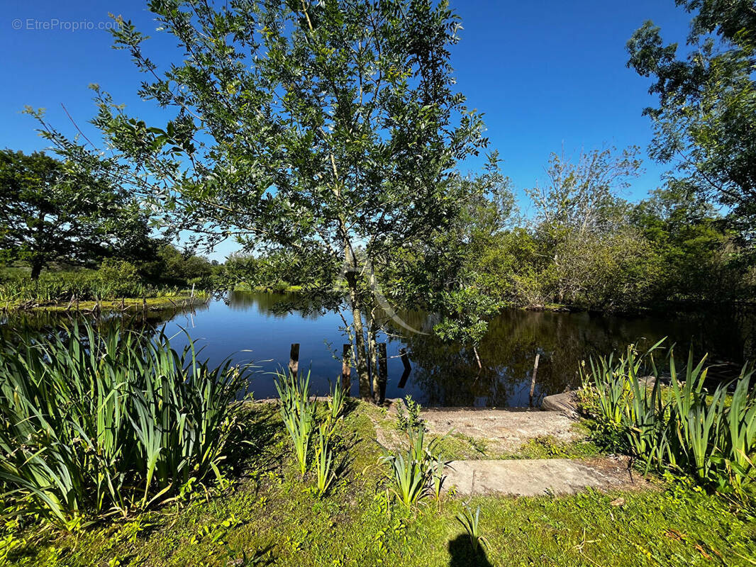 Terrain à SAINT-JOACHIM