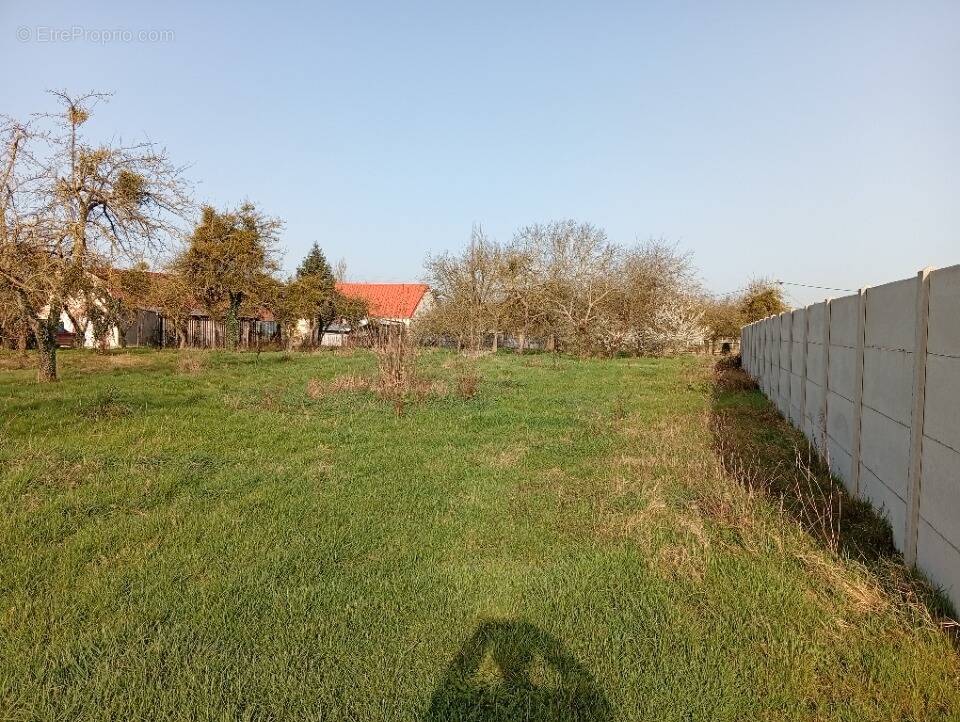 Terrain à NORMANVILLE