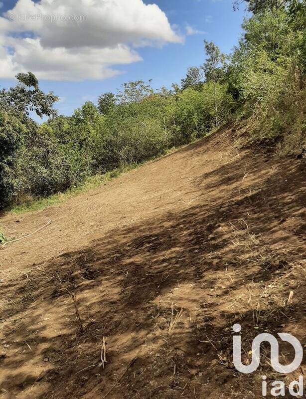 Photo 1 - Terrain à SAINT-PAUL