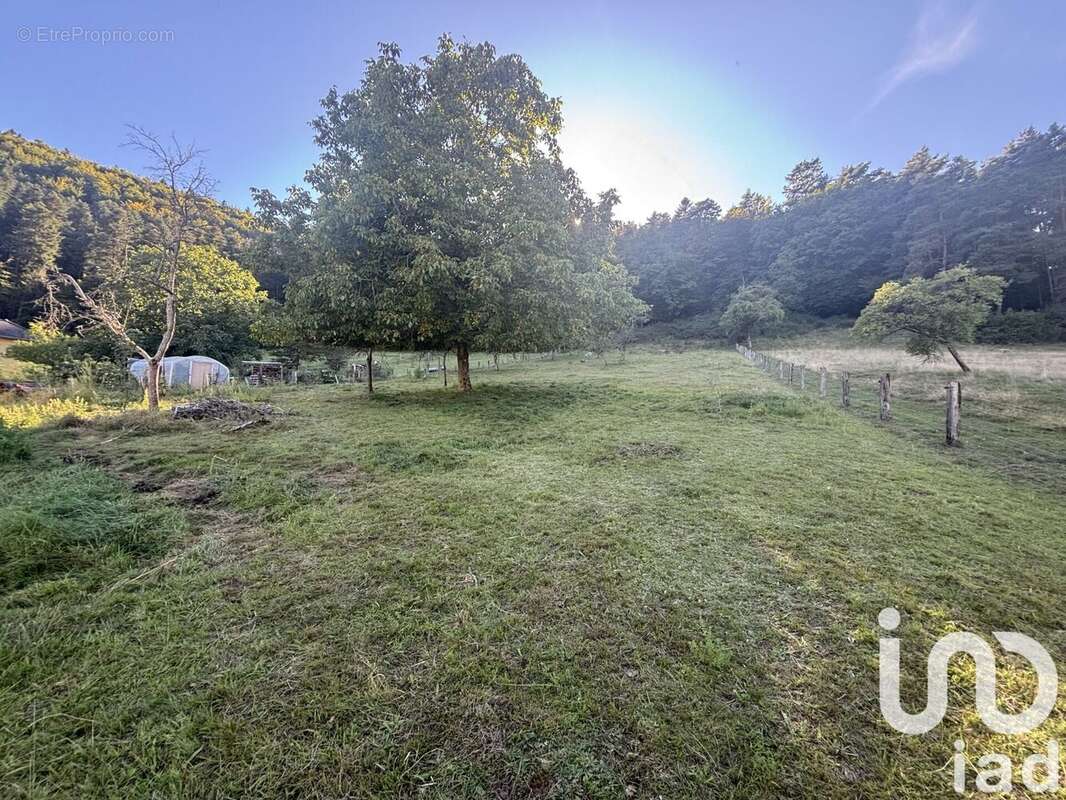 Photo 2 - Terrain à DABO
