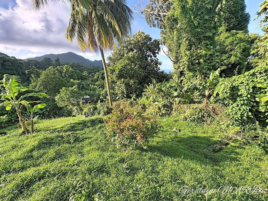 Villa 242 m² avec piscine, T2 loué et terrain de 4 000 m² - photo 12