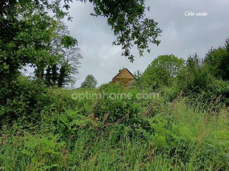 Terrain de loisirs de 2 300 m2  avec ancienne dépendance – Zone agricole – Crédin - photo 12