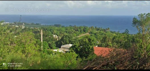 Terrain à SAINT-JOSEPH