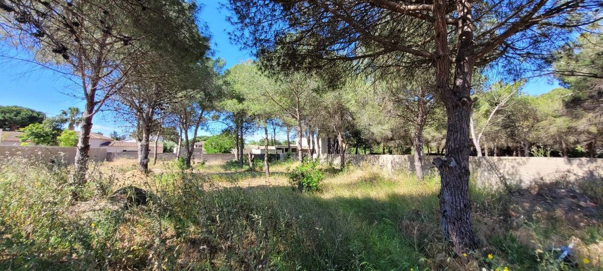 Terrain à AGDE