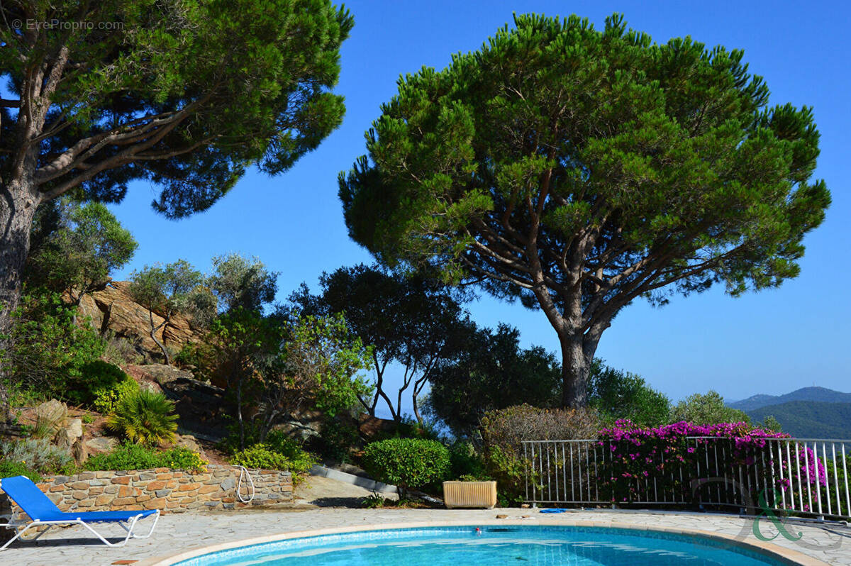 Maison à BORMES-LES-MIMOSAS