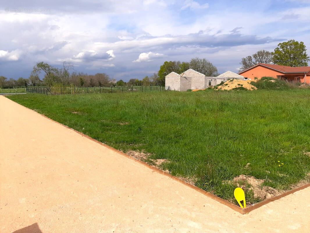 Terrain à SAINT-BENIGNE