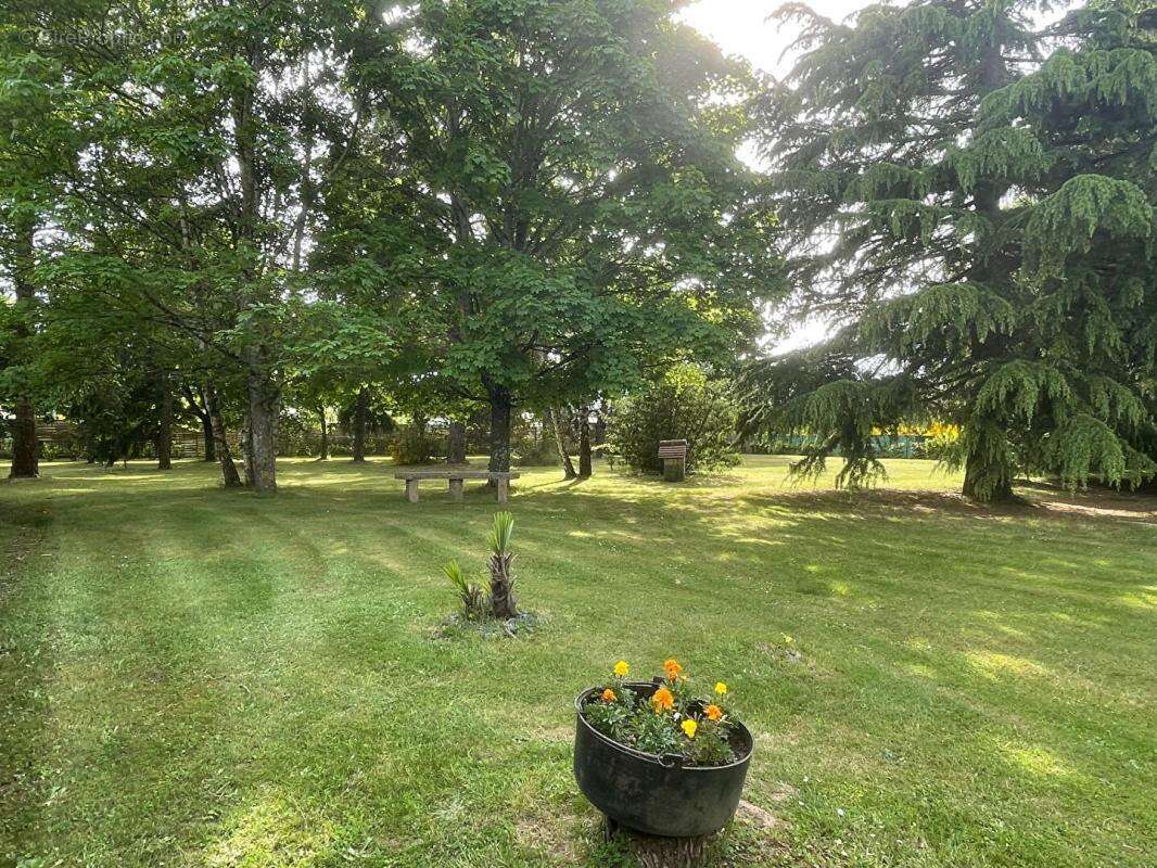 Maison à CHATEAUNEUF-SUR-LOIRE