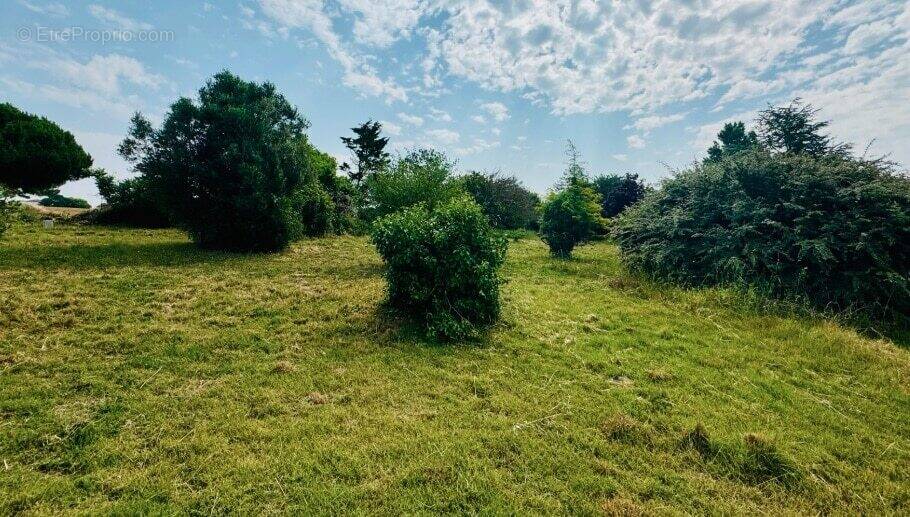 Terrain à ETAULES