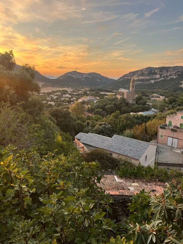Terrain à PATRIMONIO