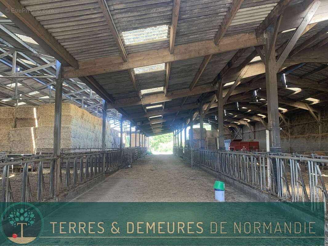 A VENDRE en NORMANDIE dans le département du CALVADOS région LE MOLAY-LITRY (14330) une exploitation agricole herbagère d'une su - photo 12