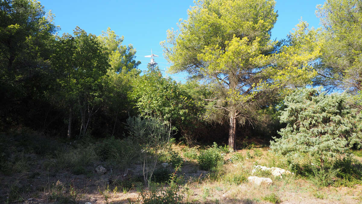 Terrain à LA TURBIE