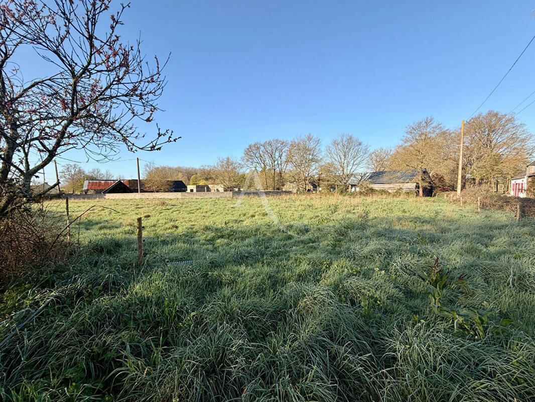 Terrain à NOZAY