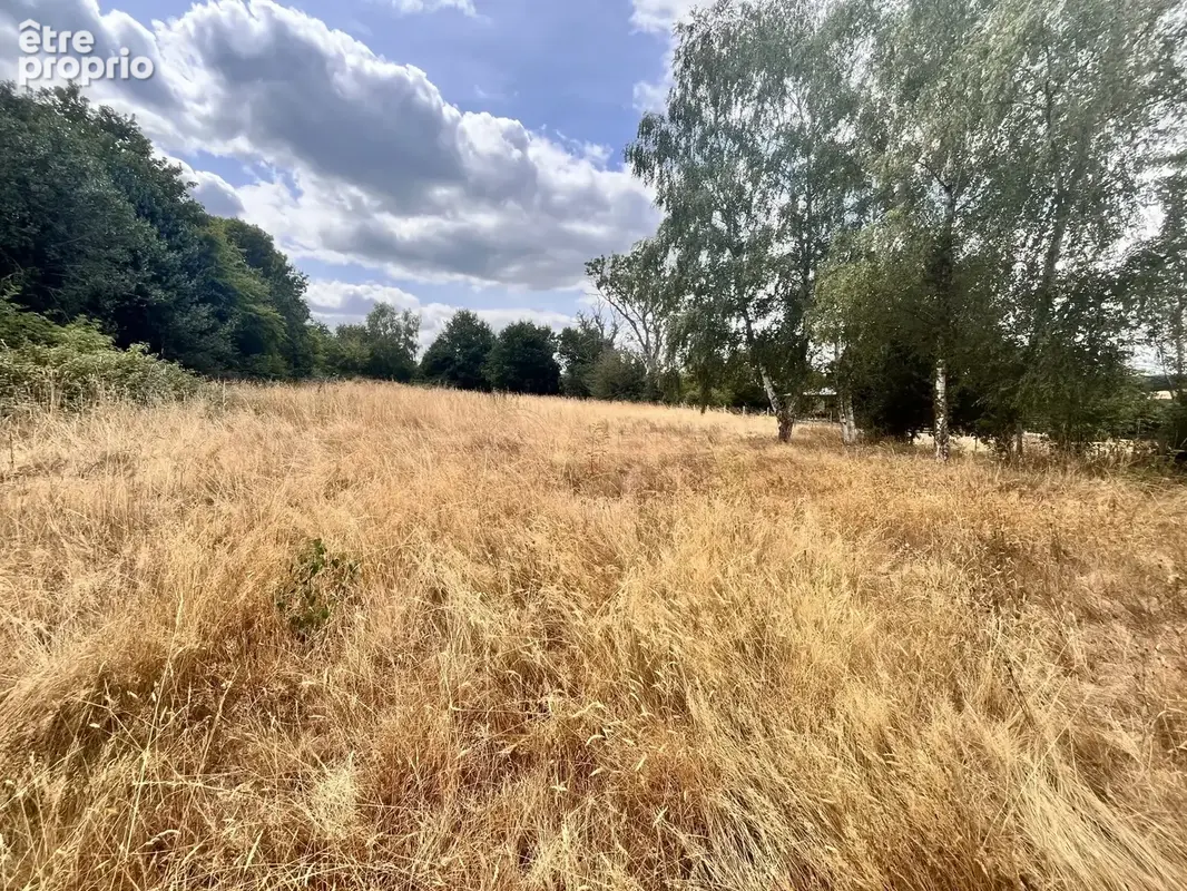 Terrain à HEURTEAUVILLE