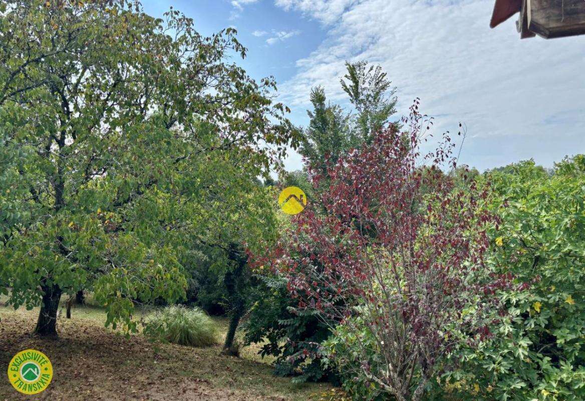 Maison à SAINTE-ALVERE