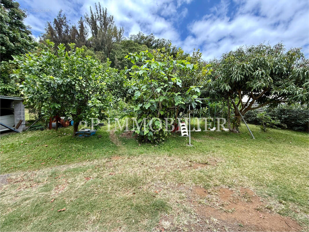 Maison à SAINT-JOSEPH