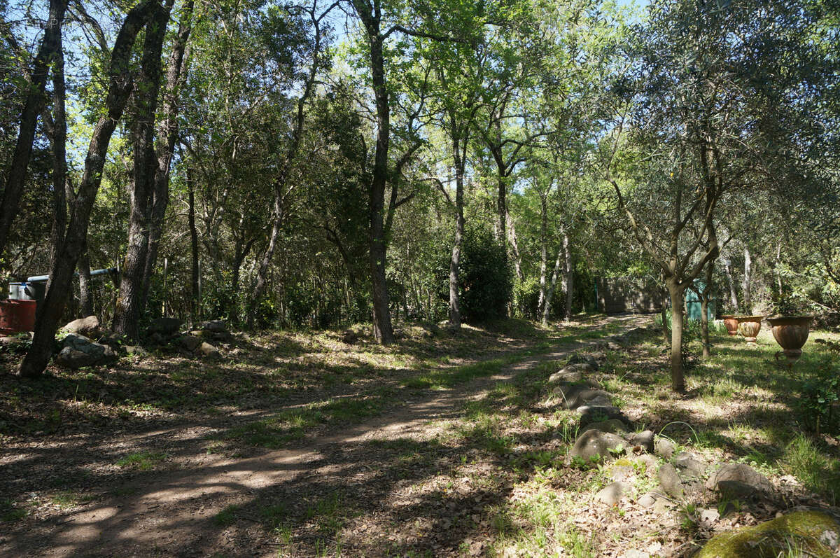 Terrain non constructible avec cabanon - photo 4