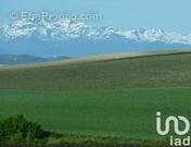 Photo 1 - Maison à ORTHEZ