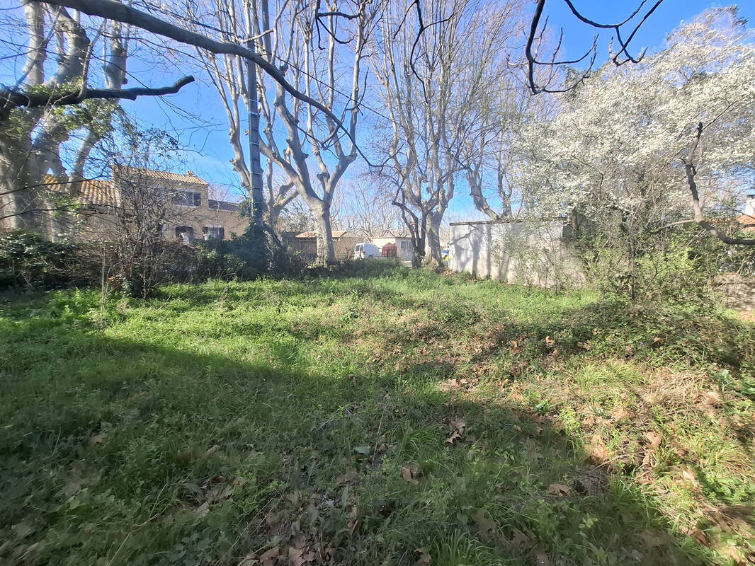 Terrain à SAINT-MARTIN-DE-CRAU