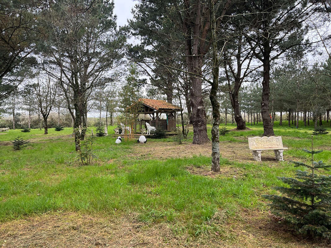 Maison à SAINT-PERE-EN-RETZ