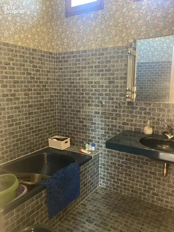 Maison Spacieuse avec vue ( Mas-d'Azil) et son appartement T2 en plus - photo 12