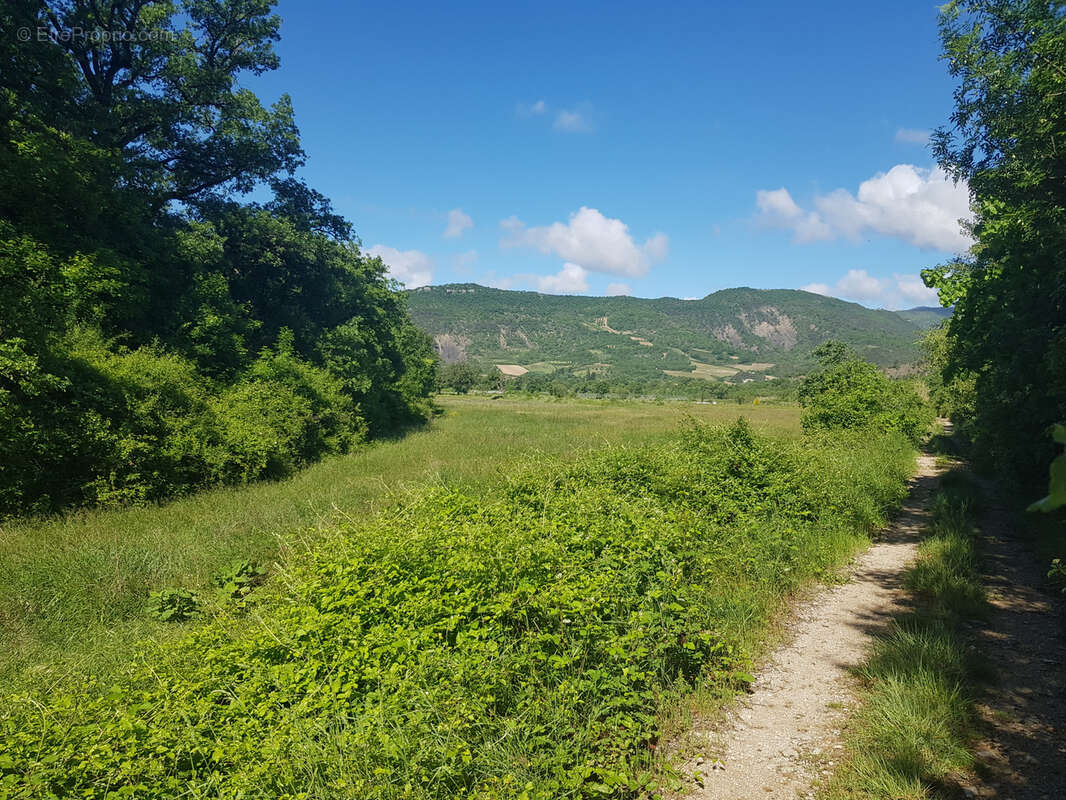 Terrain à LES PILLES