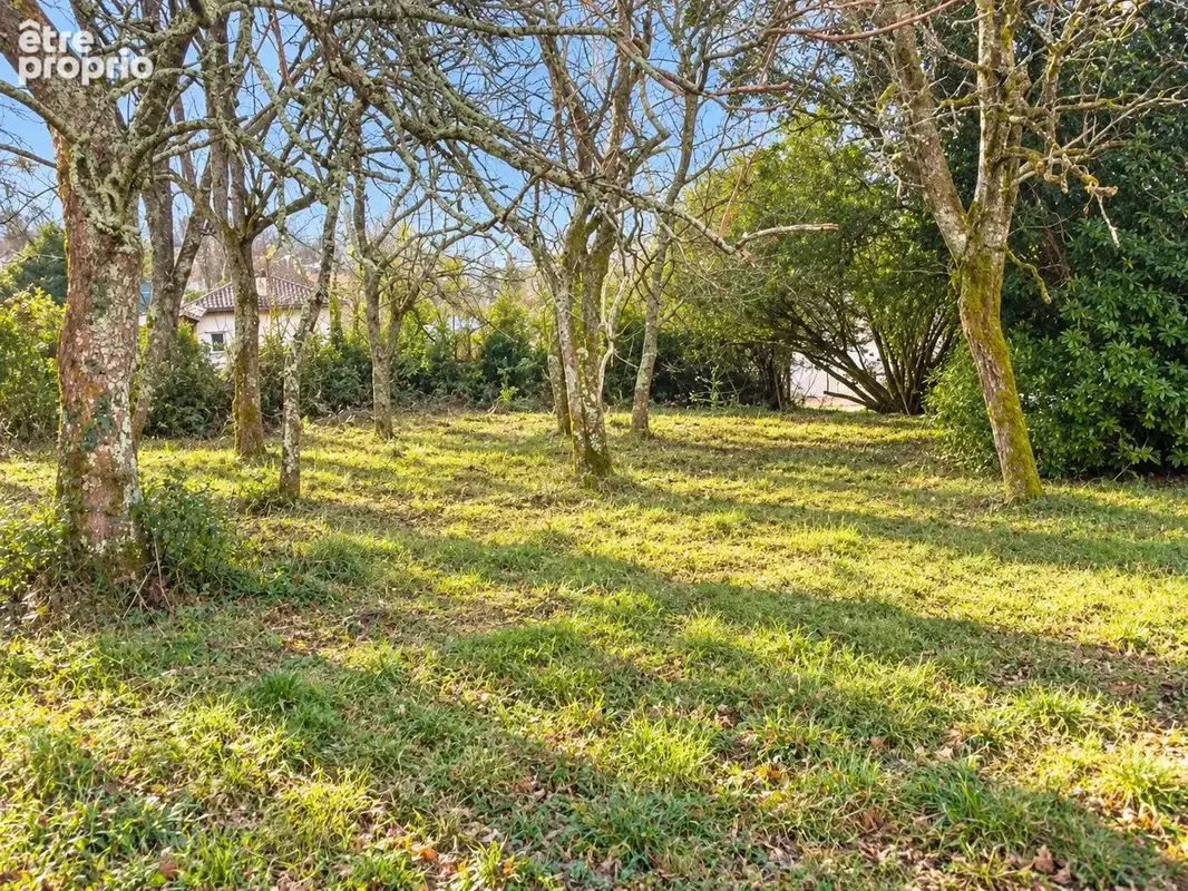 Terrain 629 m² à vendre à Creon (33670) - photo 1