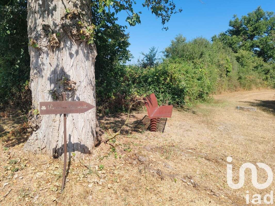 Photo 7 - Terrain à ARGENTON-CHATEAU