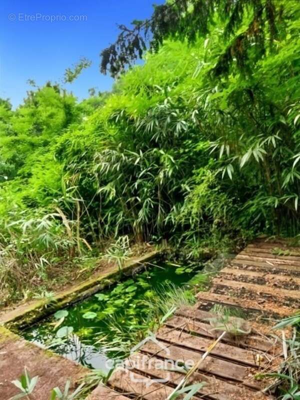 Maison à PARIGNY-LES-VAUX