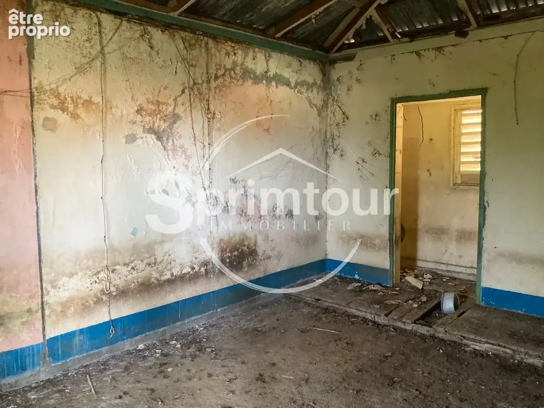 À vendre   Terrain constructible de 2999 m2 à Basse-Terre - photo 19