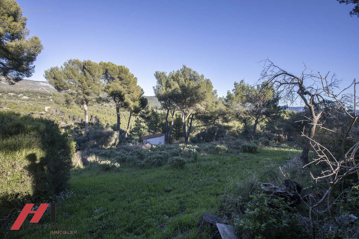 Bastide pagnolesque de 250 m2 sur 16000 m2 a deux pas du golf bde la salette - photo 5