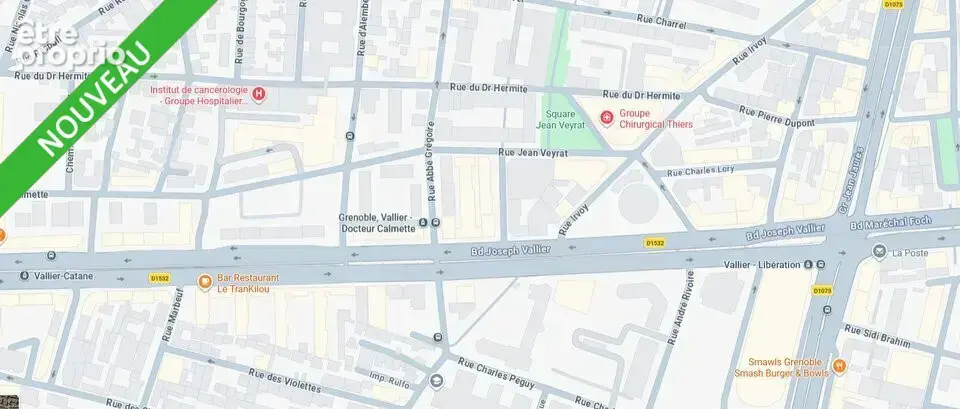 85 m² à Grenoble  - photo 3