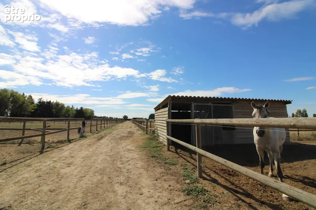 Herault Propriété d'exeption 800m2 sur 400000m2 - photo 141