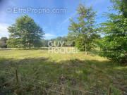 Terrain à SAINT-PAUL-EN-BORN